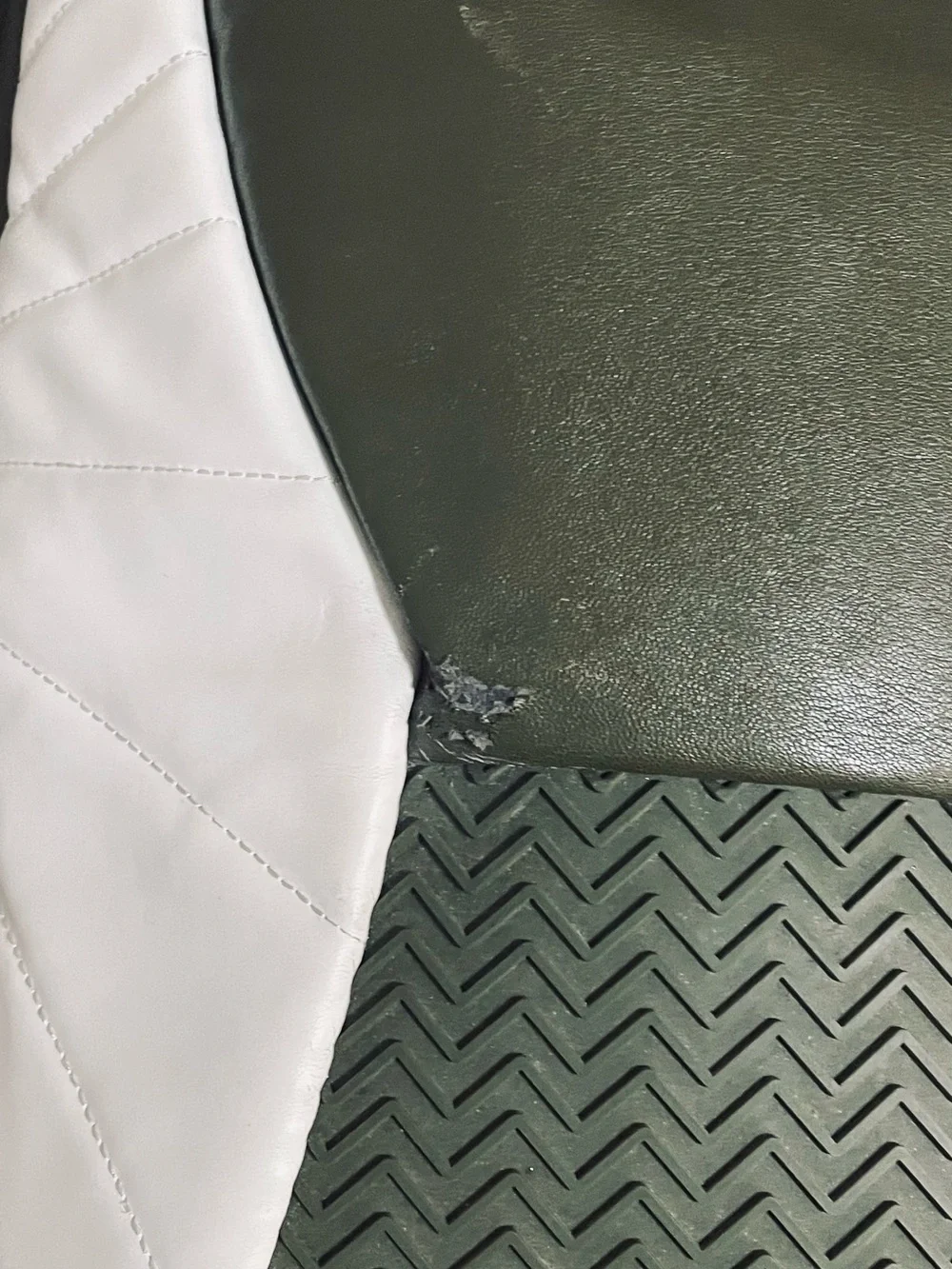 Jordan Olive Green and White Leather Backpack